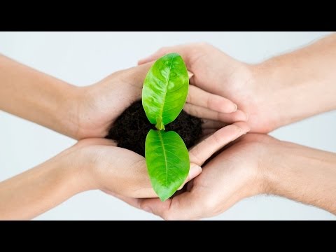 What Is Sustainable Living? | Green Living
